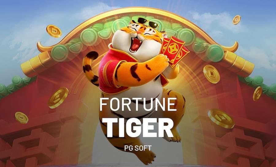 slots and video poker